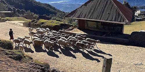 2025 Benefit for Clean Water - Engineers Without Borders @ UW-Milwaukee