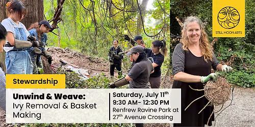 Unwind & Weave: Ivy Removal and Basket Making
