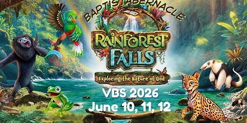 Rainforest Falls VBS