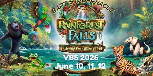 Rainforest Falls VBS