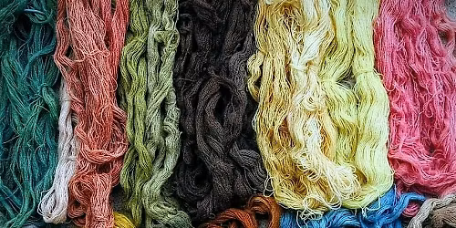 Mushroom & Lichen Dyes