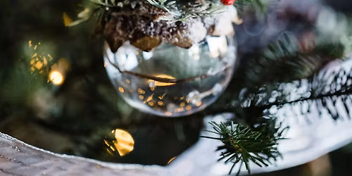 Light the Night - Tree Lighting at Hotel Domestique