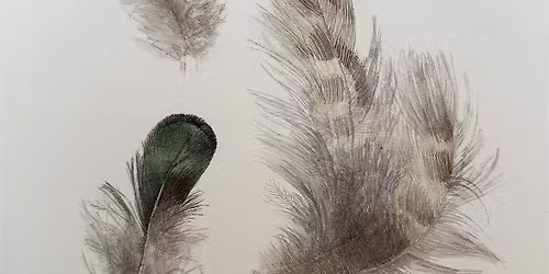Draw and paint bird feathers with Elaine Searle