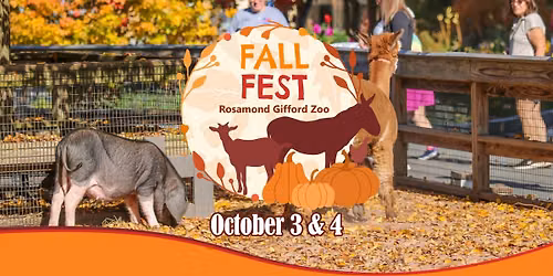 Fall Fest