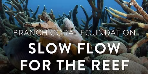 Flow For The Reef with YogaSix West University