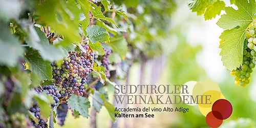 Mit Wein auf Weltreise: Schaumweine aus aller Welt