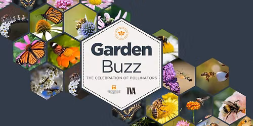 Garden Buzz --The Celebration of Pollinators 