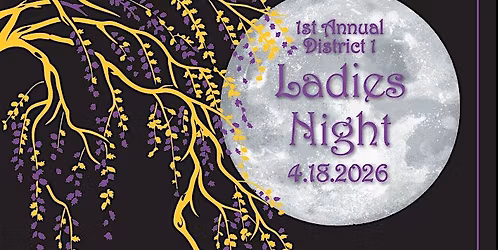 District 1 Ladies Night