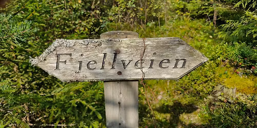 Vandring langs Fjellveien