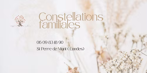 \ud83c\udf38\ud83c\udf33 Constellations familiales \ud83c\udf33\ud83c\udf38