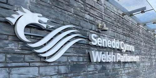 Senedd 2.0: Making the most of a changing Parliament