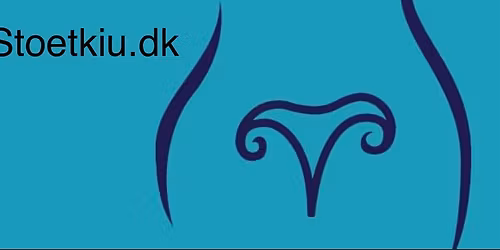 KIU: Rundvisning i Viborg Domkirke