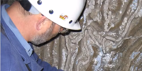 Spotkanie: Badania fizykochemiczne w kopalniach w Wieliczce i Bochni od XVIII wieku do dzi\u015b