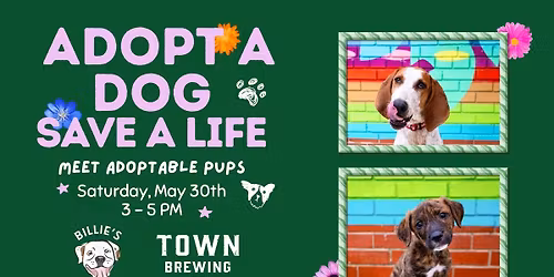 Billie's Buddies Adoption @ Town Brewing Co.