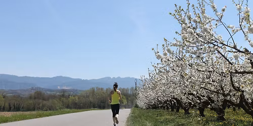 MOD RUN MARATHON DE LA DROME