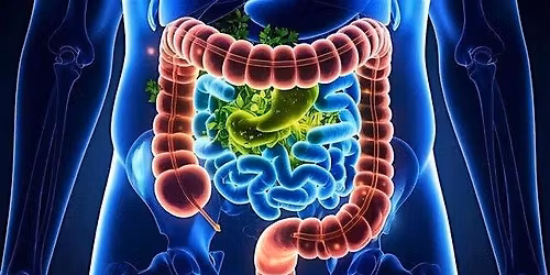 Copy of Chicago SGNA Spring int GI