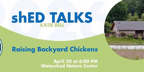 shED Talk: Raising Backyard Chickens