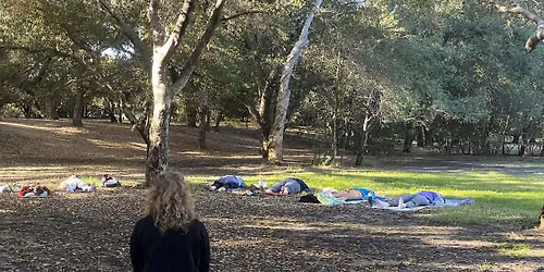 Meeting the Oaks:  Nature Walk and Meditation @ Irvine Regional Park