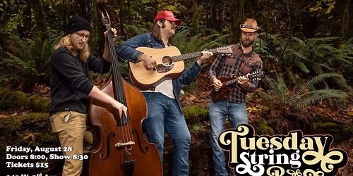 Tuesday String Band