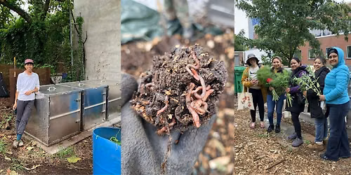 Community Composting with Myrtle Village Green