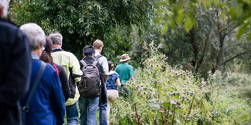 Monthly Meander -Winter Wildlife