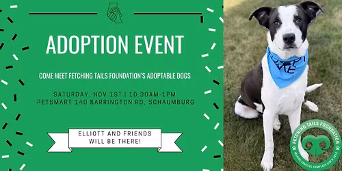 Adoption Event at Petsmart