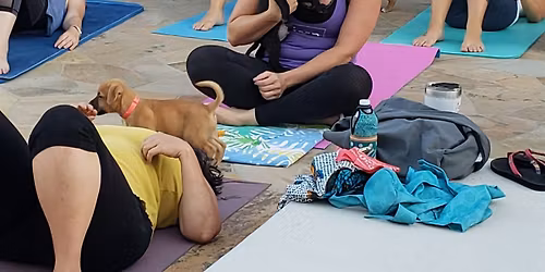 Doggy Noses & Yoga Poses at Sparta Athletic Campus!