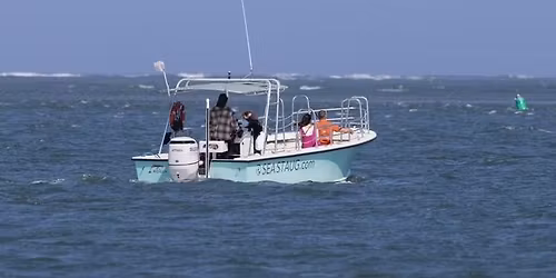 St. Augustine Eco Tour Boat Trip with Linda Burek