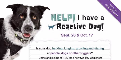 CLASS: Help! I Have a Reactive Dog!