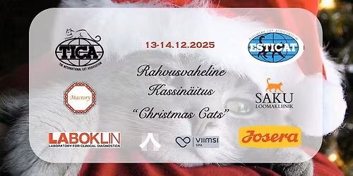Kassin\u00e4itus \/ TICA Cat Show "Christmas Cats"
