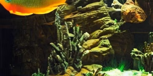 April CNYAS General Meeting