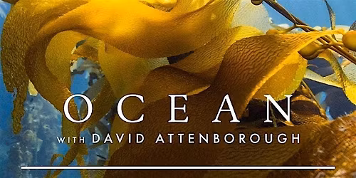 Ocean with David Attenborough: Community Screening (Bangor, Cymru)