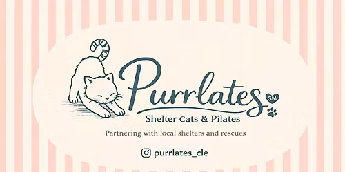Purrlates\u2120 x Euclid Animal Shelter Event