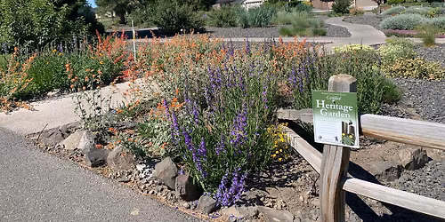 Water wise Gardening workshop