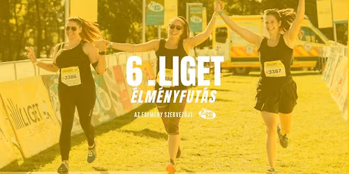 6. Liget \u00c9lm\u00e9nyfut\u00e1s