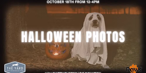Halloween Photos at The Yard