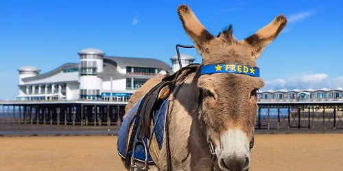 Weston Super Mare- Make New Friends Exclusive Coach Trip