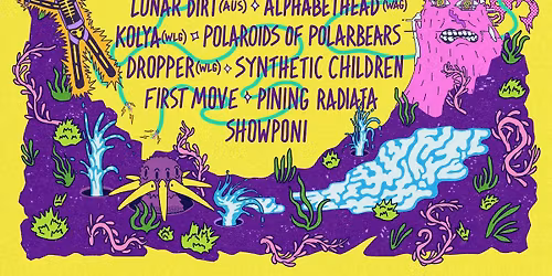 A Low Hum Mini-Festival featuring Drook (USA), Lunar Dirt (AUS) & More  Palmerston North Te Papaioea