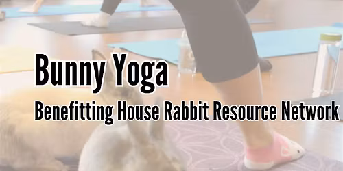 Bunny Yoga Benefiting House Rabbit Resource Network