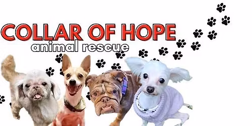 ADOPT JOY
