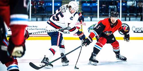 Bloomington Bison at Kalamazoo Wings