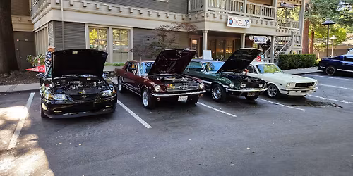 Ponies & Snakes Car Show