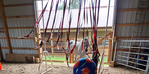 Horse Powered Reading June 22-25th