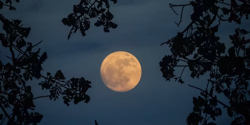 Almost Full Moon Hike
