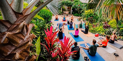 Restorative Yoga in the Garden