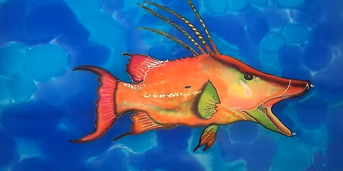 Swim AMI Coquina Beach