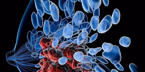 Metastatic Breast Cancer Study Day