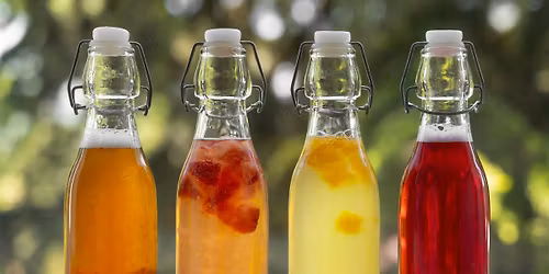 Fermented Drinks: Kombucha, Water Kefir & Beet Kavas.