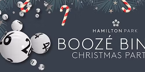 Booze Bingo Christmas Party