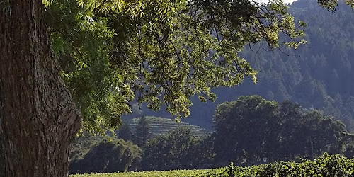 2025 Schrader Cellars Wine Dinner at Haven